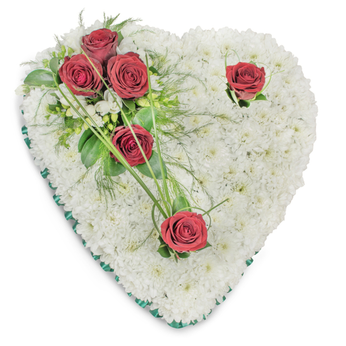 A solemn, heart-shaped floral wreath entirely faced with small, pure white chrysanthemum blooms that create a dense, cushion-like surface, captured against a bright white background so every texture reads clearly. On the upper left quadrant a cluster of three richly coloured red roses gathers amid a supportive mix of deep green foliage-broad, glossy leaves, fern-like fronds and a few slender, arching bear-grass blades-which together give the grouping a natural, gardened feel. Two single red roses interrupt the white field-one positioned toward the upper right curve and another pointing toward the heart's lower point-each accompanied by modest green accents that allow the crimson blooms to register as individual tokens of remembrance. Small white filler flowers appear near the main cluster, offering delicate highlights against the snowy chrysanthemum bed. The entire heart is neatly trimmed with a thin emerald-green satin ribbon, providing a precise, respectful border that defines the silhouette. Light from above casts soft shadows into the textured surface, accentuating the chrysanthemums' tiny petals and the roses' layered blooms; the roses' velvety scent and the chrysanthemums' fresh, clean note are implied by the arrangement's visual quietness. This piece reads as a timeless sympathy tribute-calm, ordered and heartfelt-suitable for funeral services in local chapels or for laying at graves in nearby Langtons Gardens or Bedfords Park as a dignified expression of enduring love and remembrance.