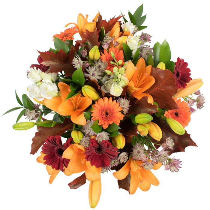 A lush, high-detail view of a fall-inspired floral arrangement photographed against pristine white that emphasises texture, colour and form. Several full-bloom orange Asiatic lilies are arranged prominently, their trumpet-like petals spreading outward with crisp edges and a satiny sheen, while numerous tight lily buds in shades of pale orange and chartreuse nestle between them, suggesting movement and future unfolding. Bright orange Gerbera daisies provide round, cheerful punctuation alongside deeper burgundy Gerberas whose velvety petals create dramatic contrast; each Gerbera's dark centre anchors its bright halo of ray-like petals. Cushioning the bolder flowers are clusters of creamy white Lisianthus (or small garden roses) with layered, ruffled petals that soften the overall palette and introduce a delicate, tactile quality. Scattered throughout are airy, star-shaped Astrantia in muted purples and greys that add intricate filigree texture and a slightly wild, meadow-like touch. Generous lobed leaves in deep reddish-brown and maroon-reminiscent of freshly fallen oak or maple-are woven into the bouquet to reinforce an autumn narrative, while lively green foliage and slender stems lift and separate blooms so the composition keeps an open, rounded silhouette. The lighting is bright and even, making colours sing against the white backdrop and revealing the fine veining on leaves and the subtle gradations on petals. This arrangement communicates harvest warmth and celebratory comfort - suited to mantel displays, harvest festivals, or seasonal décor for homes around Emerson Park, a short stroll from Emerson Park station and Harrow Lodge Park.