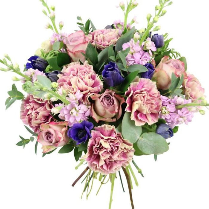Against a clean, white studio background, this hand-tied bouquet appears almost to float, its colours and forms carefully composed like a painter's still life, yet undeniably fresh and modern, as you might see in a window display along the quieter streets of Emerson Park. At the core are generously bloomed garden roses, their petals layered in spirals of blush pink and faded mauve, with some blooms just beginning to open and others in full, romantic splendour. Interlaced among them are plush carnations, their ruffled heads large and frilly, shaded from creamy beige and soft blush in the centre to deeper rose and fuchsia at the petal tips. The interplay of these pink tones creates a warm, welcoming heart to the bouquet. Cutting through the softness are deep indigo and royal blue notes: tight, tulip-like buds in rich blue perch between the roses, while one prominent anemone, open and velvety, reveals a dark, nearly black centre that anchors the entire composition. Slender stems of lilac and pale lavender stock rise lightly above and between the larger blooms, each tiny flower contributing to a hazy veil of gentle purple. Around the outside, rounded stems of silvery eucalyptus and darker green foliage frame the arrangement, their cool greens providing balance and a suggestion of fresh, clean fragrance. The tied stems at the base, neatly banded, highlight the bouquet's hand-crafted quality, ready for delivery to an elegant home on a tree-lined Emerson Park road. This arrangement radiates refined charm, perfect for marking an anniversary dinner, welcoming a new baby, or simply brightening a calm corner of a local living room.