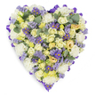 A lovingly crafted, heart-shaped floral tribute photographed against a clean white studio background, its dense surface almost painterly in texture. The heart is outlined with a continuous loop of rich purple satin ribbon, folded to create an elegant, defined border that frames the composition like a quiet bow of respect. Within that border a soft, comforting palette of creams, pale yellows and whites fills the shape: clusters of tightly furled cream and pale yellow roses form the primary layer, their satiny petals ranging from tight buds to gently unfurling blossoms that suggest warmth and tenderness. Interspersed among the roses are plush white carnations whose ruffled edges create cloud-like volume and a timeless, consoling presence. Delicate sprays of lavender statice and small purple, daisy-like asters with bright yellow centres are scattered throughout, their finer textures and deeper violet notes adding visual contrast and moments of joyful colour against the pale base. Rounded blue-green eucalyptus leaves punctuate the design, their silvery sheen and familiar aromatic suggestion breaking up the floral density and lending a modern, natural rhythm to the piece. The overall impression is serene and graceful - a memorial arrangement that conveys calm, reverence and enduring affection. Gentle studio lighting highlights the subtle colour gradients and the soft velvet of petals, while the compact, expertly packed composition speaks of careful craftsmanship. Appropriate for funeral services, wakes or graveside memorials in Emerson Park and neighbouring Hornchurch, this heart-shaped tribute offers a dignified, heartfelt way to honour a loved one and to express sympathy with quiet beauty.