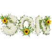 A heartfelt, three-dimensional floral tribute carefully shaped to spell the word SON, each capital letter formed from a dense, plush carpet of pristine white chrysanthemums that read as soft, velvety cushions. The white blooms create a serene, almost cloud-like surface, their faint, sweet fragrance suggested by the close, layered petals. Winding through and around the letters are glossy, dark green ivy vines whose five-lobed leaves and curling tendrils add sculptural movement and a sense of quiet continuity; lighter, feathery fern fronds and pointed leafy sprigs nestle into the curves and junctions, giving the piece depth and a soft green contrast. Bright yellow sunflowers - broad golden petals encircling their textured, dark brown centers - punctuate the design: one nestles on the upper-left curve of the S, another tucks into the lower center of the O amid the fern leaves, and a third crowns the upper-right of the N. Those sunflowers bring a gentle warmth and hopeful light against the cool, pure white of the chrysanthemums, balancing mourning with memory. Photographed on a clean white background in soft, natural studio light, the arrangement's textures and shadows are clear: the chrysanthemums' rounded heads, the ivy's sheen, and the sunflowers' matte petals are all visible. As a local florist familiar with Emerson Park and nearby Hornchurch, I imagine this tribute placed with care at a funeral or graveside - a personal, tender way to honour a beloved son with purity, lasting green growth, and a touch of bright, comforting colour.